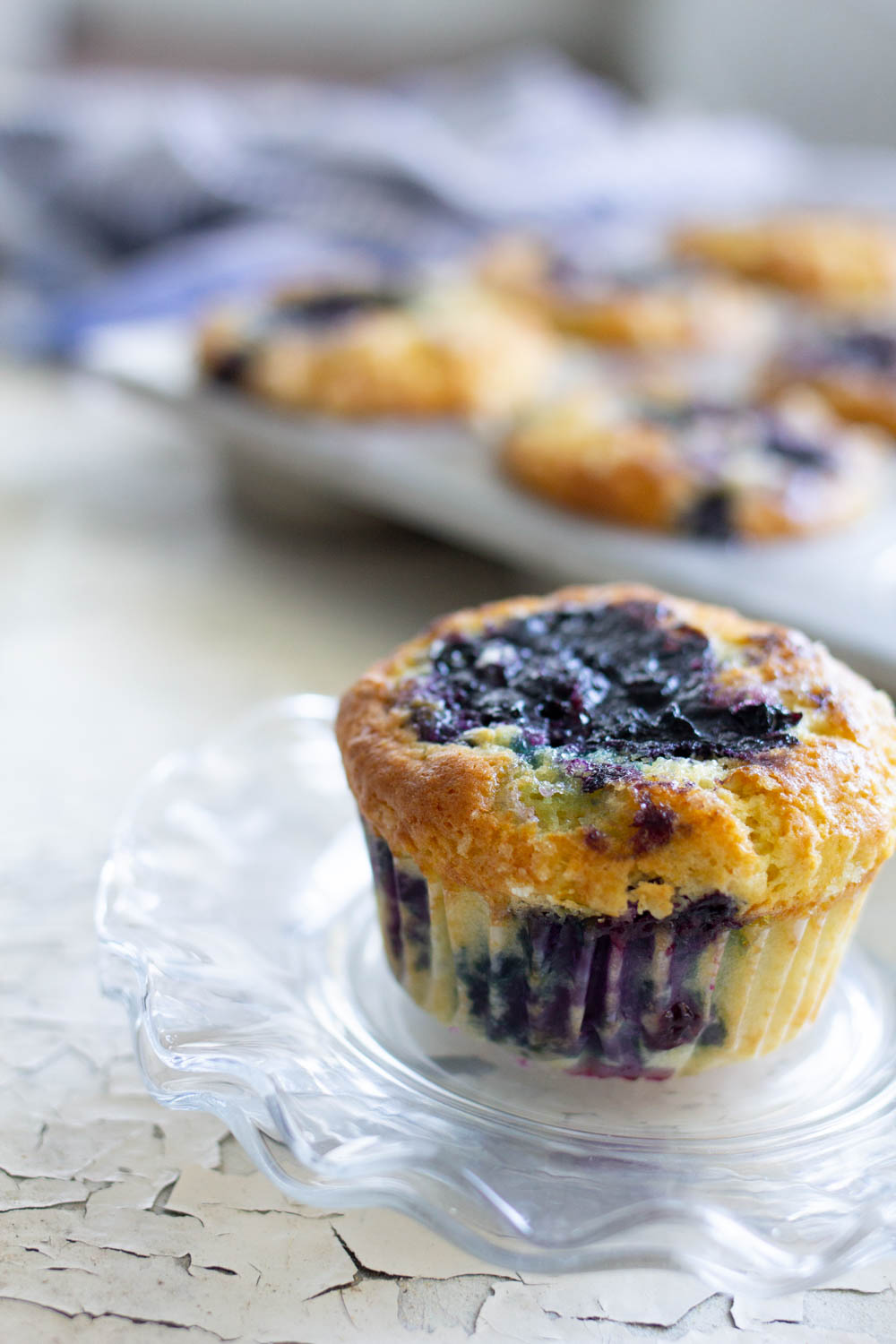 World's Best Fresh Blueberry Muffins A Bountiful Kitchen