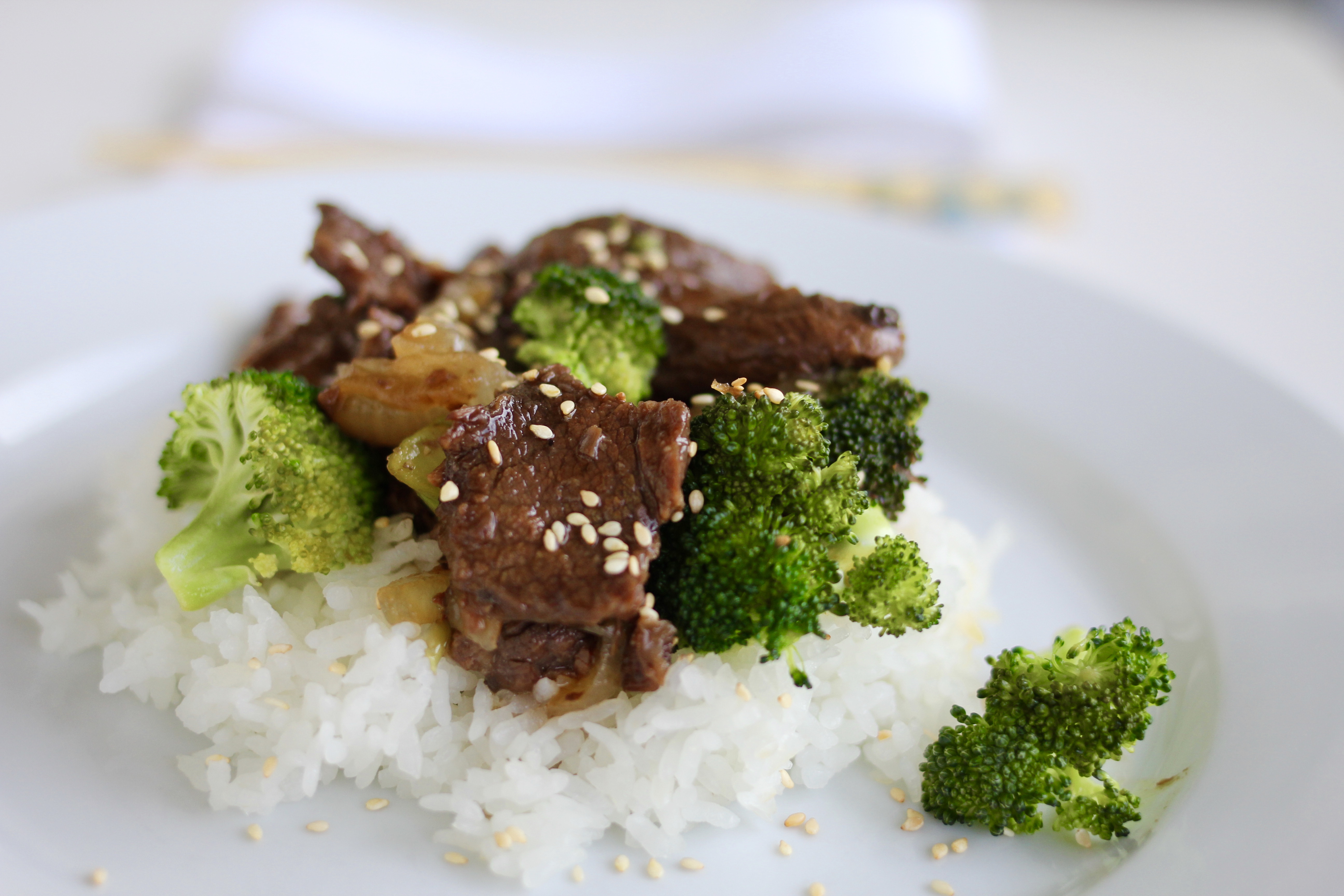 Slow Cooker Beef and Broccoli with Rice A Bountiful Kitchen