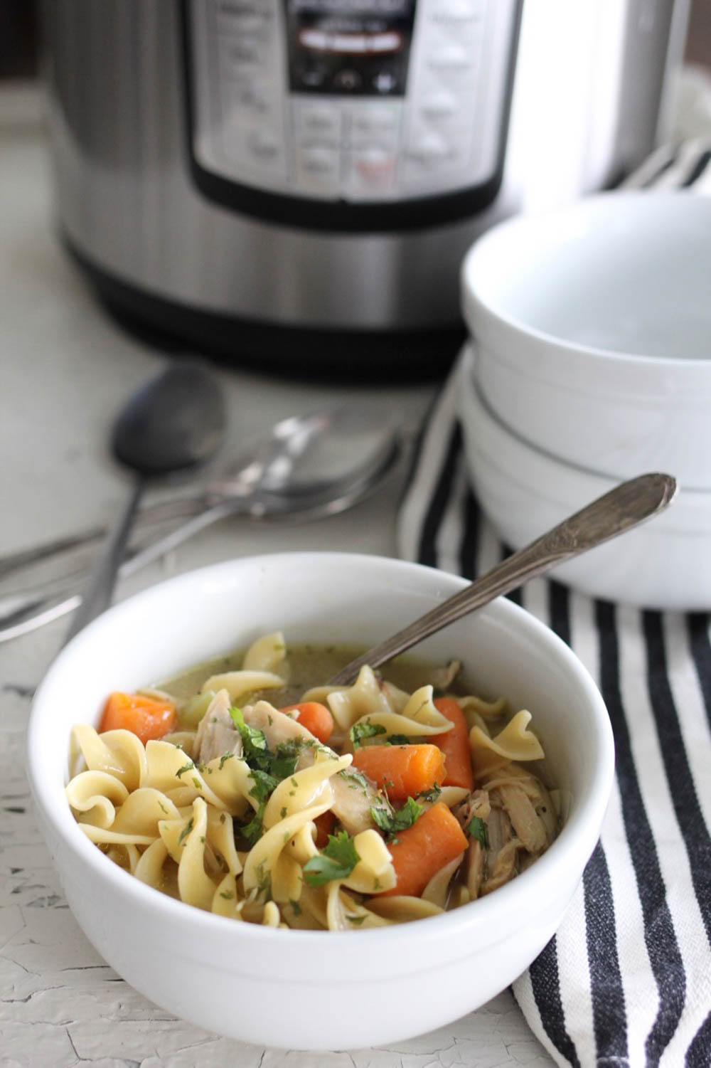 Instant Pot Chicken Noodle Soup A Bountiful Kitchen