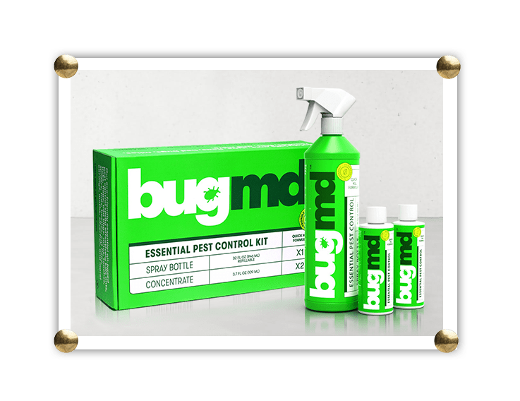 Essential Pest Control BugMD