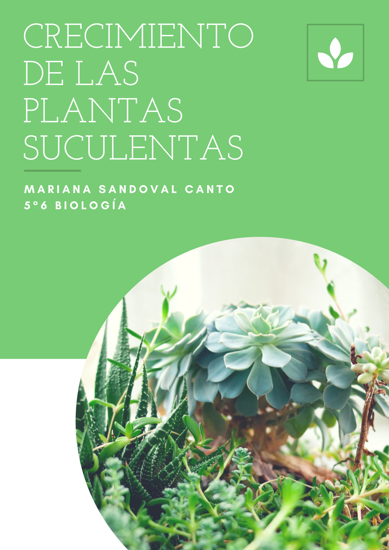 Herramientas para alumnos online gratis Canva