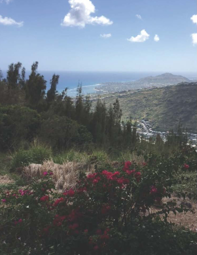 The Hawaii Loa Ridge Trail A Secret Hike on Oahu Hawaii Real Estate