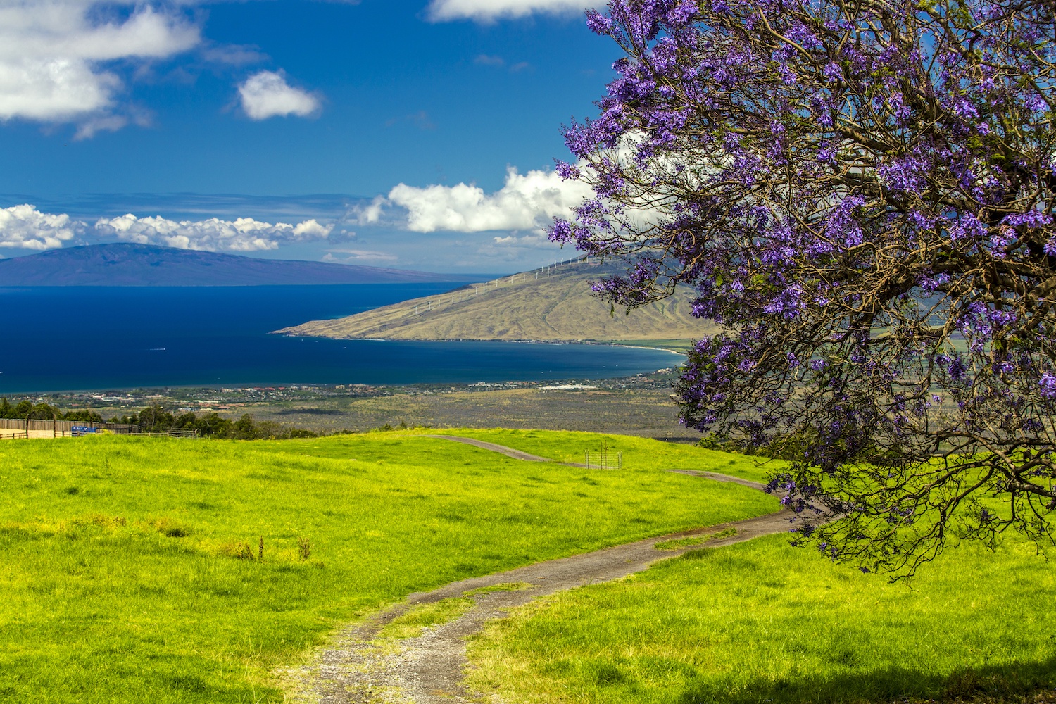 Kualono Upcountry Maui Subdivision Nearing Completion Hawaii Real