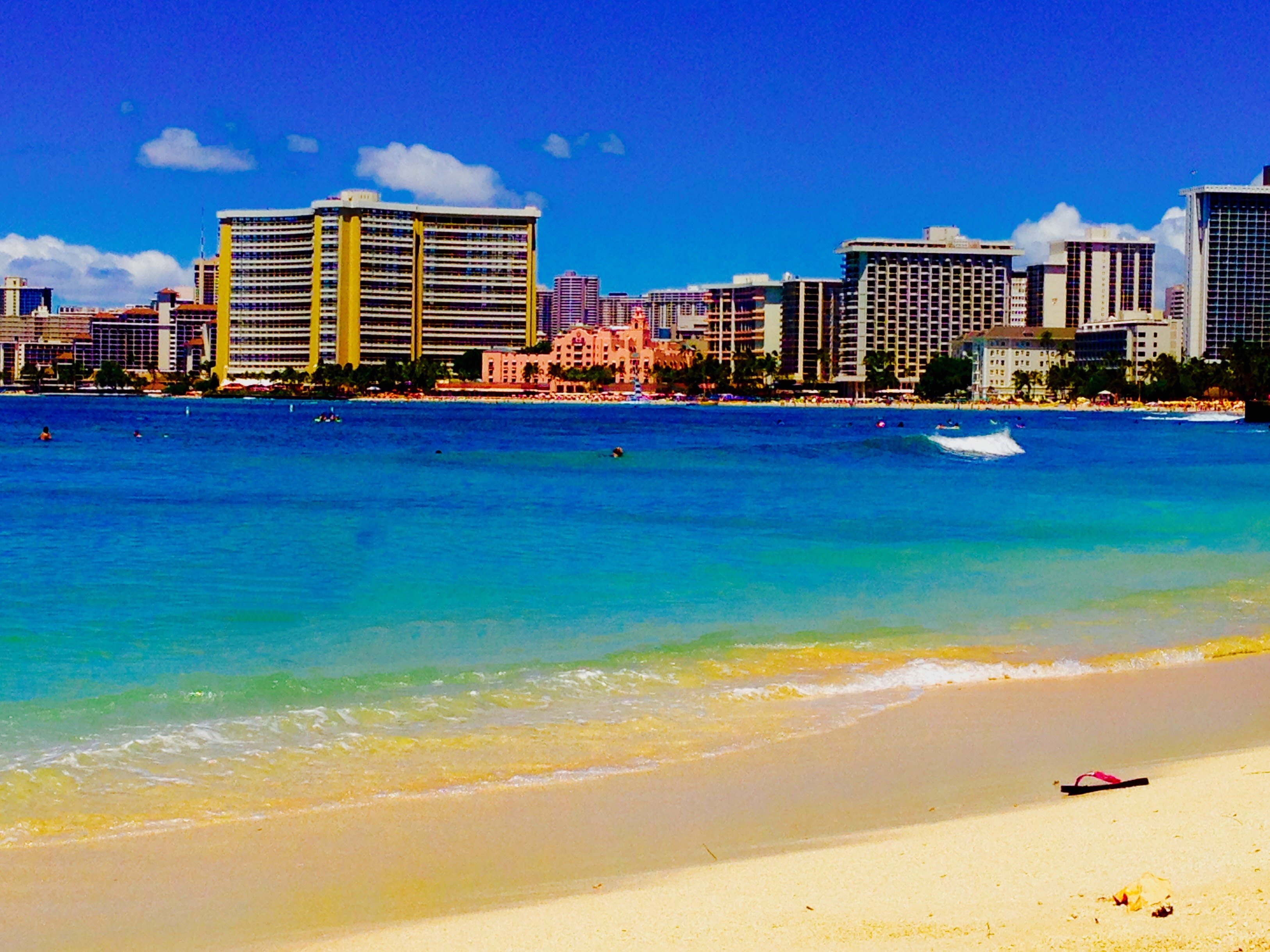 Oahu's Pet Friendly Hawaii Real Estate Market & Trends