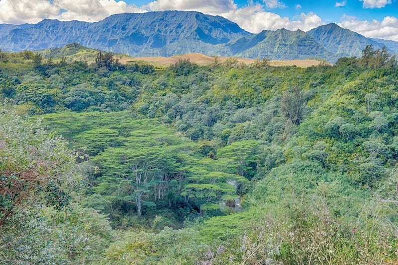 Kalihiwai Ridge 3 Acre Estate With Spectacular Views Hawaii Real