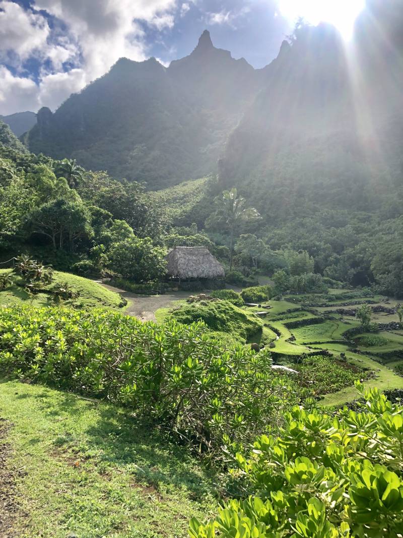The Garden Island Tropical Botanical Gardens On Kauai Hawaii Real