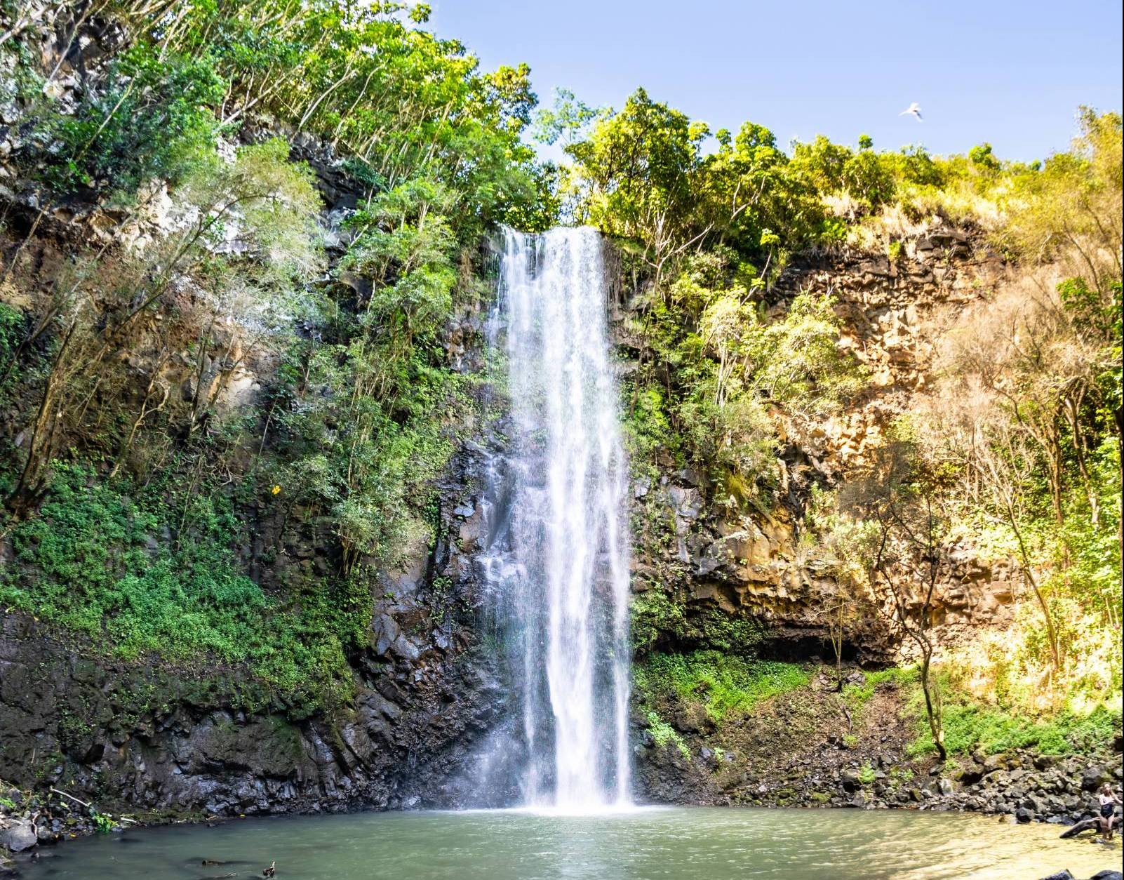 Life in the Wailua Homesteads on Kauai Hawaii Real Estate Market