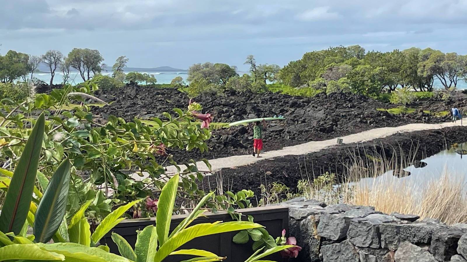 Update on Hawaii Countyʻs Luxury Property Tax Hawaii Real Estate