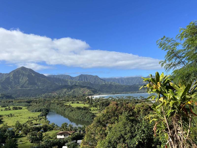 Is it Still a Seller's Market in Hawaii? Hawaii Real Estate Market