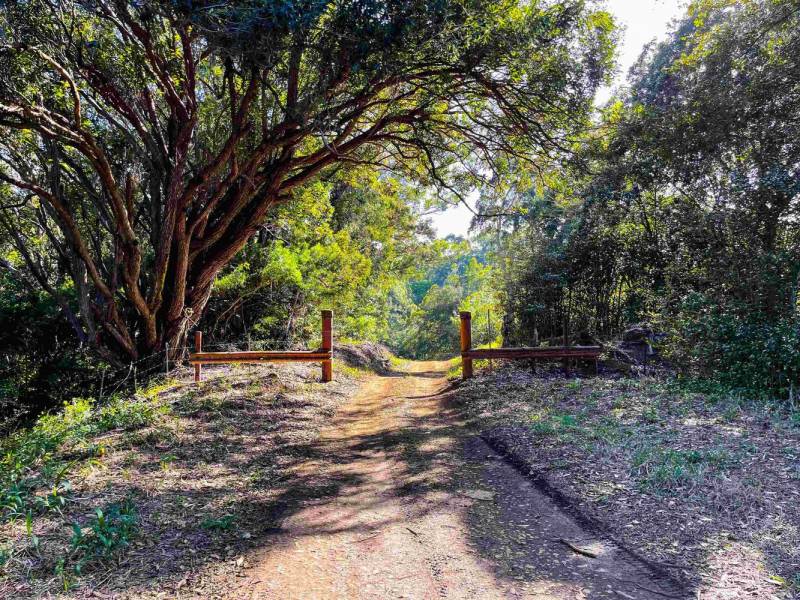 New Listing 5 Lots Totaling 6.2 Acres in Haiku for Sale as a Package Deal for 1.25M Hawaii