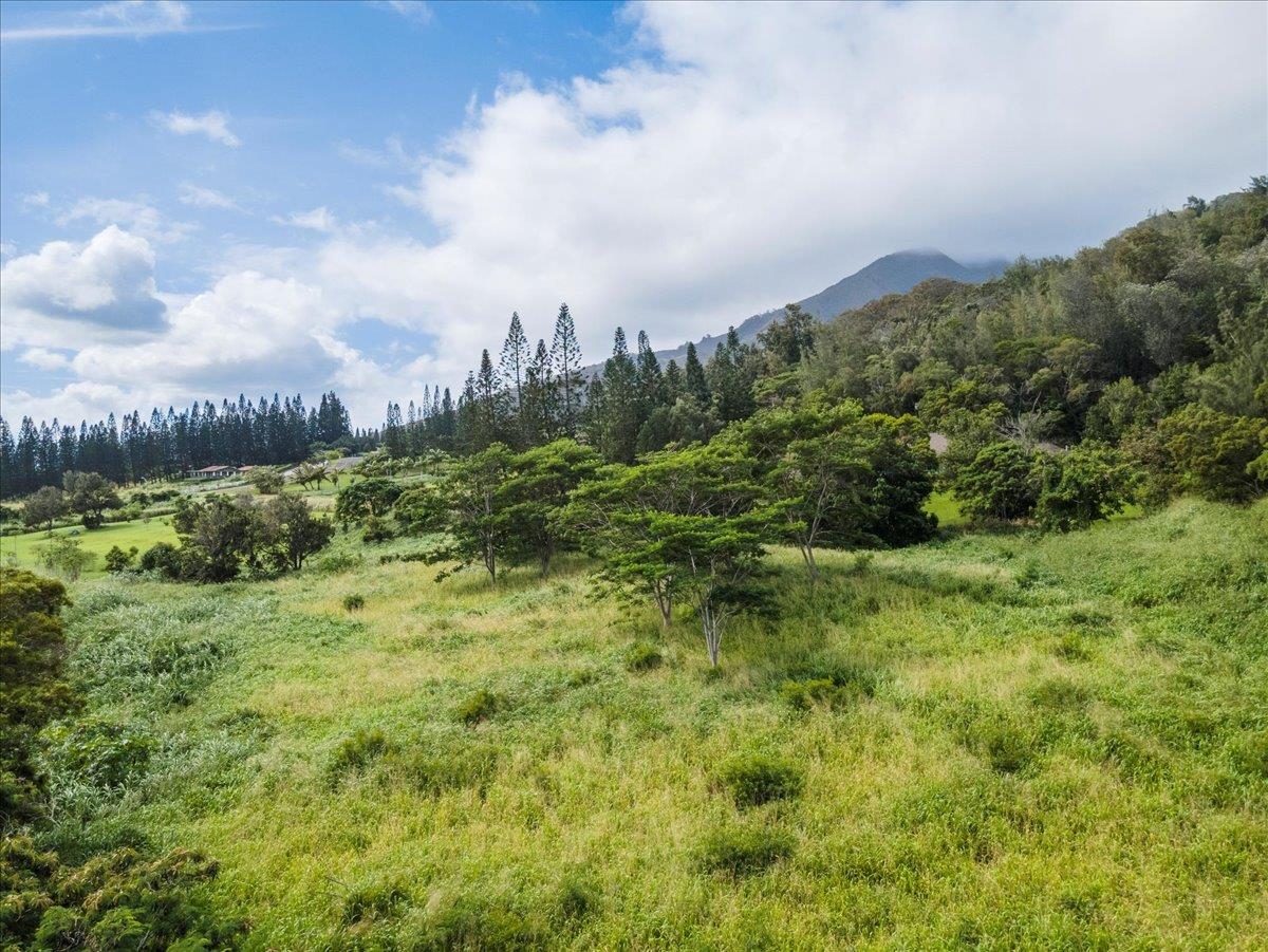 2Acre Lot in Wailuku Country Estates Hawaii Real Estate Market