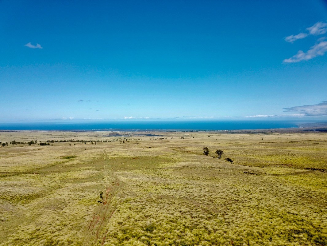 Magnificent 668 Acre Parcel of Rolling Pasture Land Hawaii Real