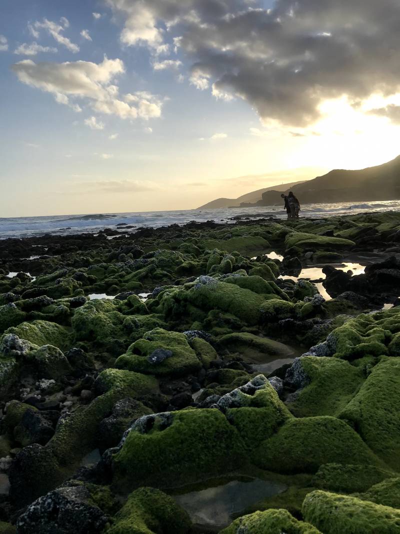 Kalama Valley A Great Neighborhood in Hawaii Kai Hawaii Real Estate