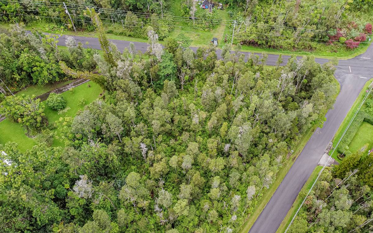 Four Adjacent Lots in Lush, Lovely Leilani Hawaii Real Estate Market & Trends Hawaii Life