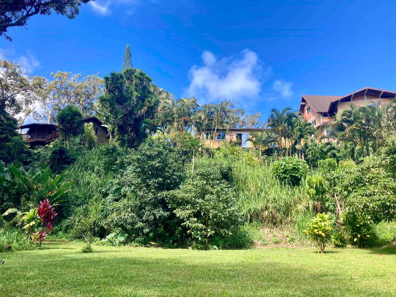 Beautiful Setting, Plus Potential With 2 Homes in Haiku, Maui