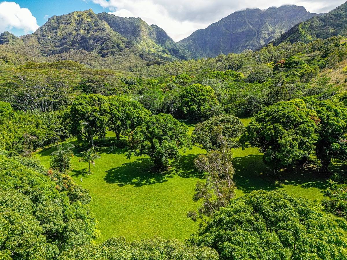 Discover an Unparalleled Retreat Nestled Within the Serene Waioli