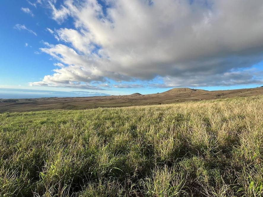 Prime Lot Just Off Kohala Ranch Road Hawaii Real Estate Market