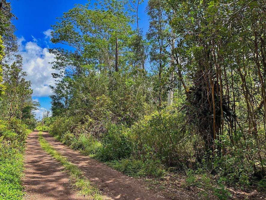 Tiki Gardens Lot in Kurtistown Hawaii Hawaii Real Estate Market