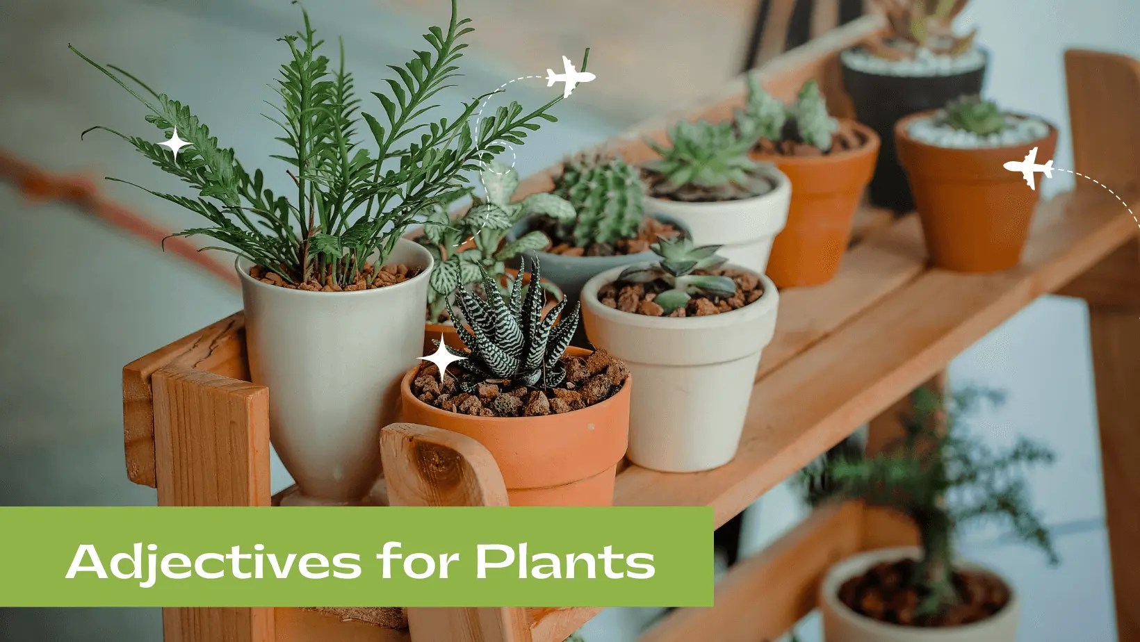 Adjectives for Plants Words to Describe Plants