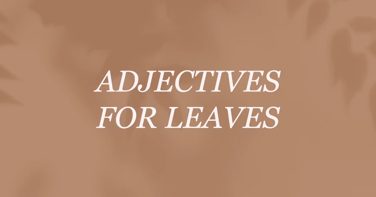 Adjectives for Leaves Words For Leaves