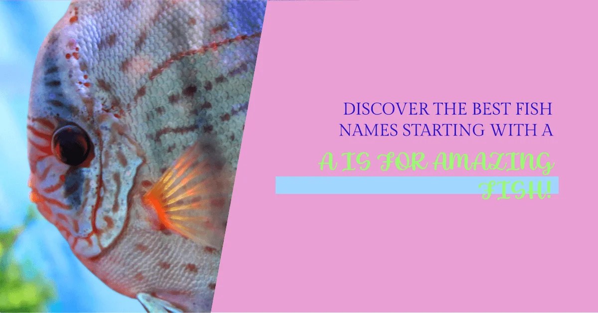 65 Aesthetic Fish Names that Start with Letter A [ Fish Names ]