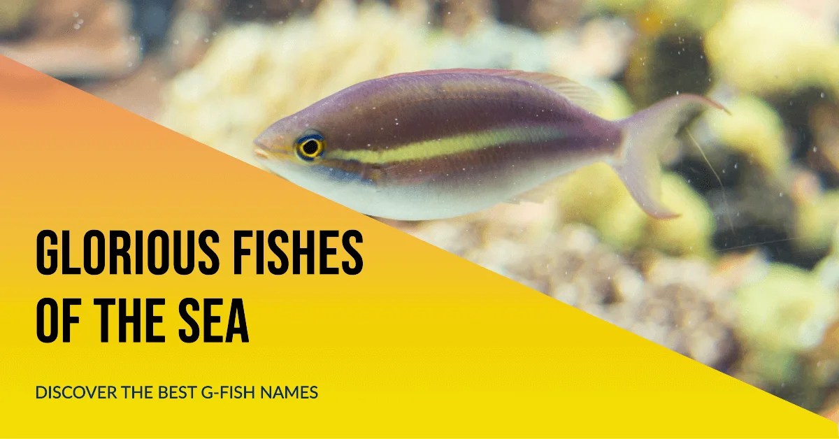 81+ Fish Names that Start with G [ Fish Names ]