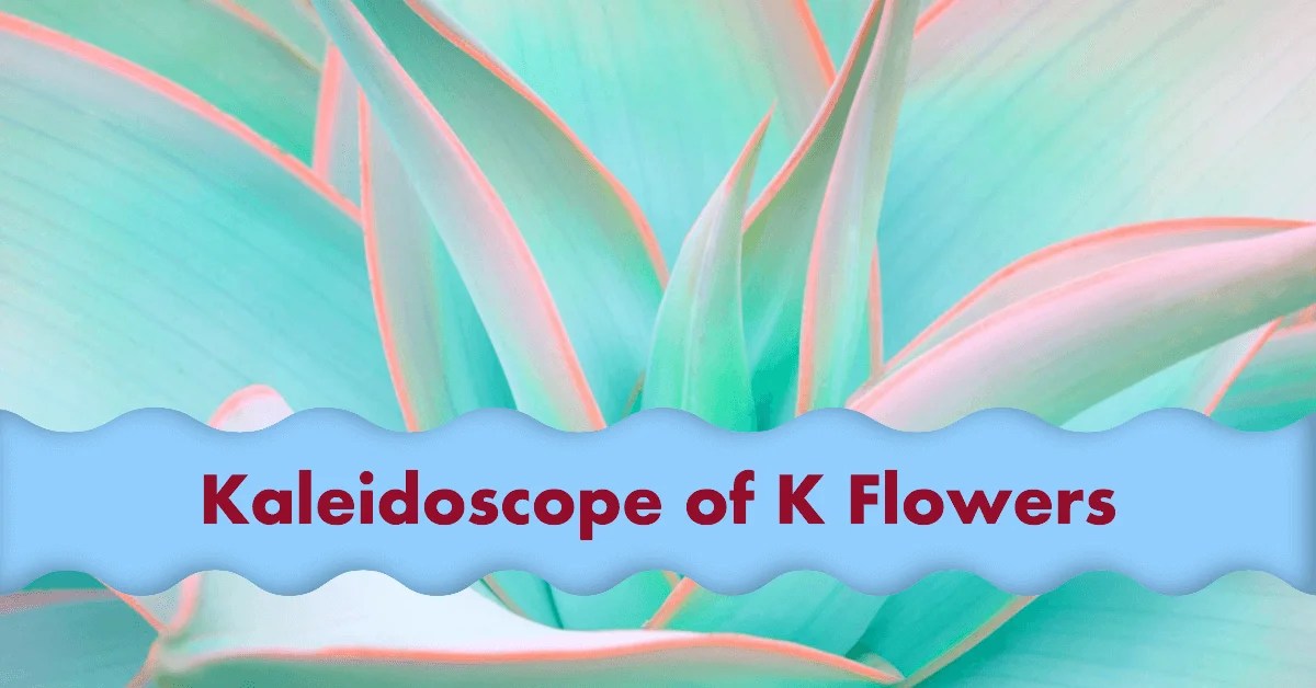 75+ Kingly Flowers that Start with Letter K