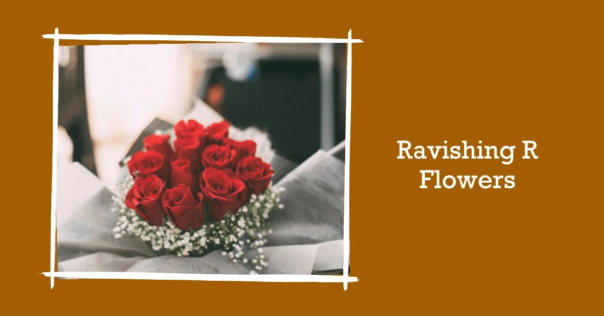 81+ Rejuvenating Flowers that Start with R [ Flower Names ]