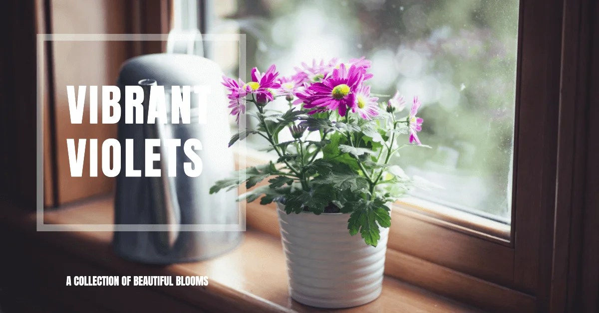 65+ Flowers Starting with Letter V [ Flower Names ]