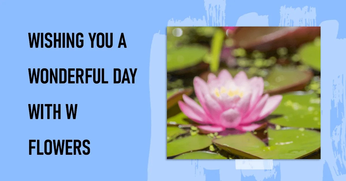 60+ Wonderful Flowers that Start with Letter W [ Flower Names ]