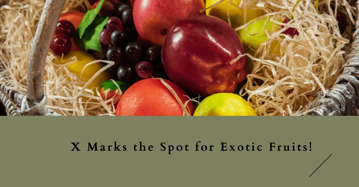 25 Fruits that Start with Letter X that You haven't [ Fruit Name ]