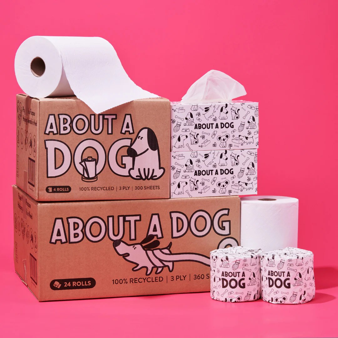 100 Recycled Toilet Large Household Bundle 48 Toilet Roll Box + 2