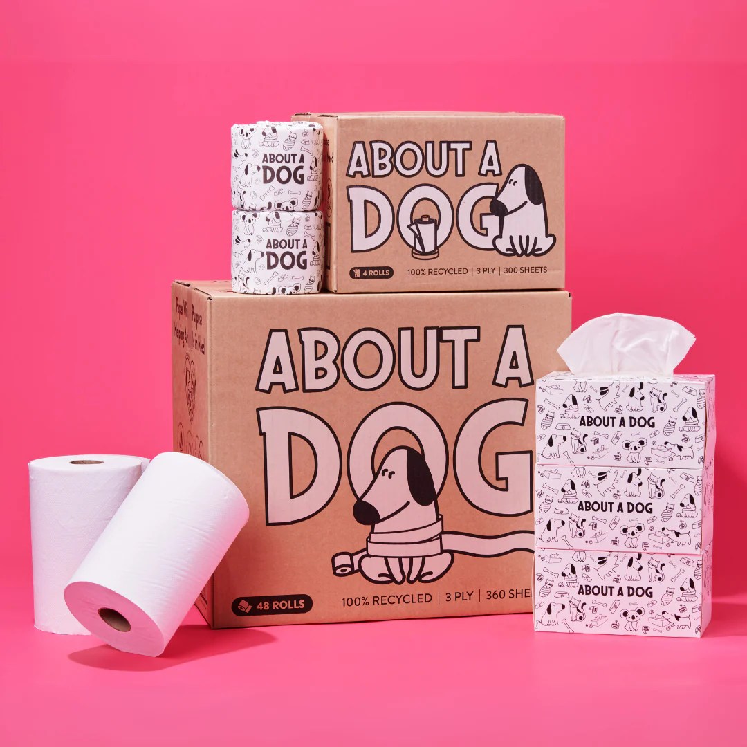 100 Recycled Toilet Large Household Bundle 48 Toilet Roll Box + 2