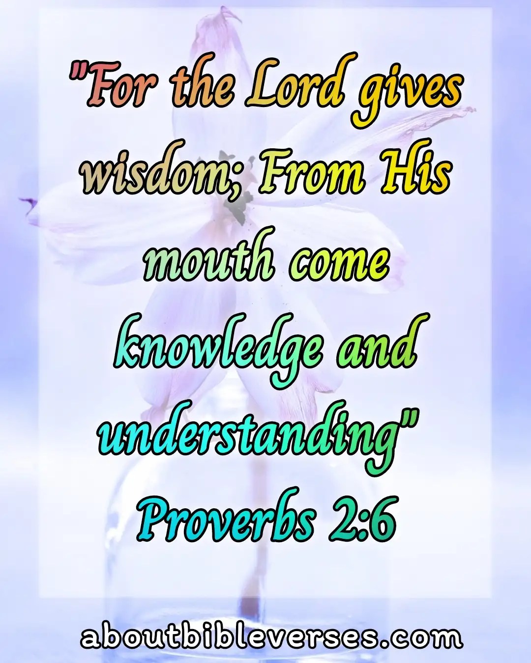 [Best] 19+Bible Verses About Wisdom And Wisdom Comes From God Kjv