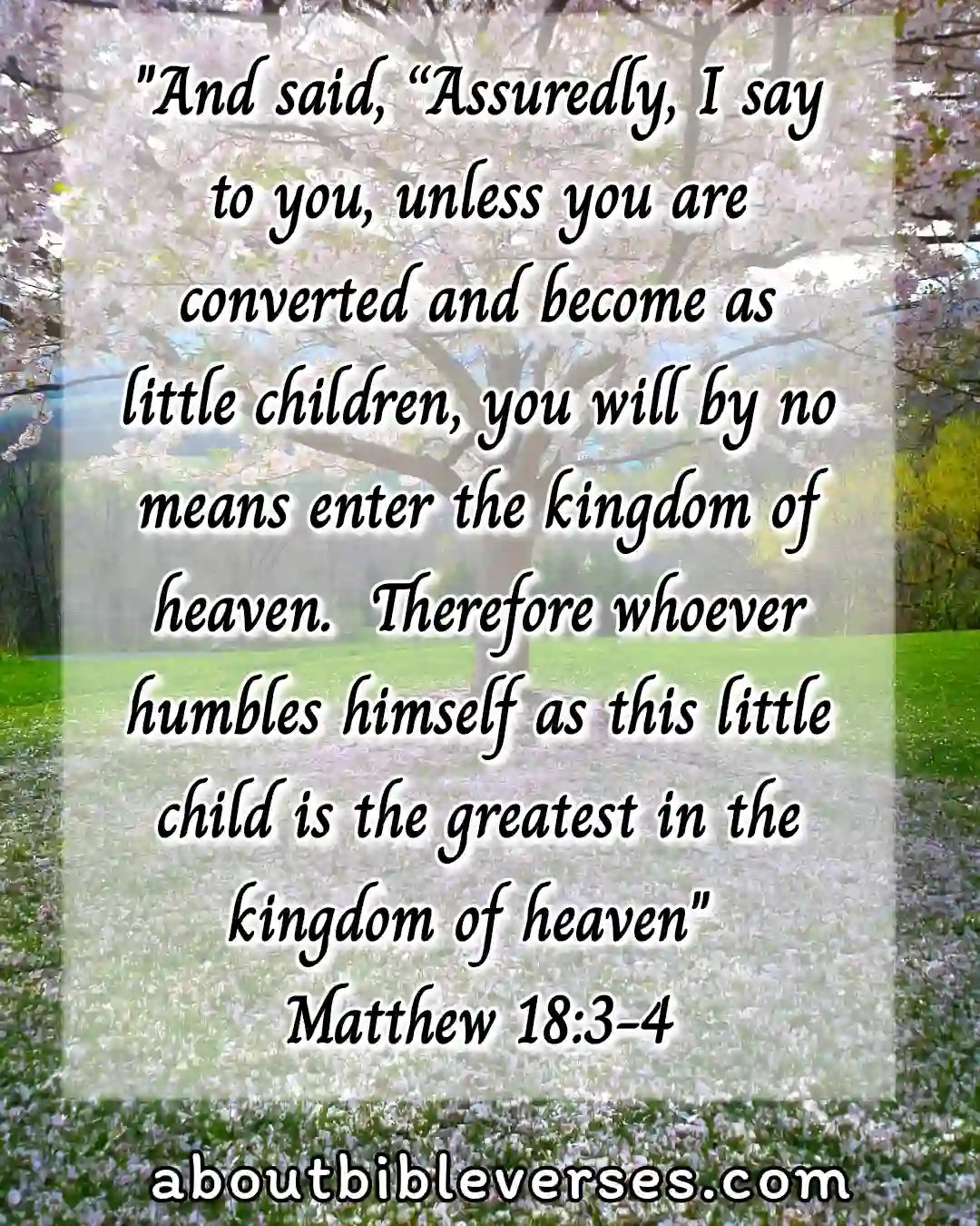 Top20 Bible Verses About Heaven And How To Going To Heaven