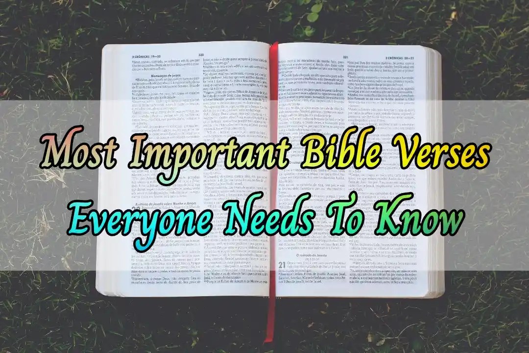 [Best] 10+ Most Important Bible Verses (Everyone Needs To Know)