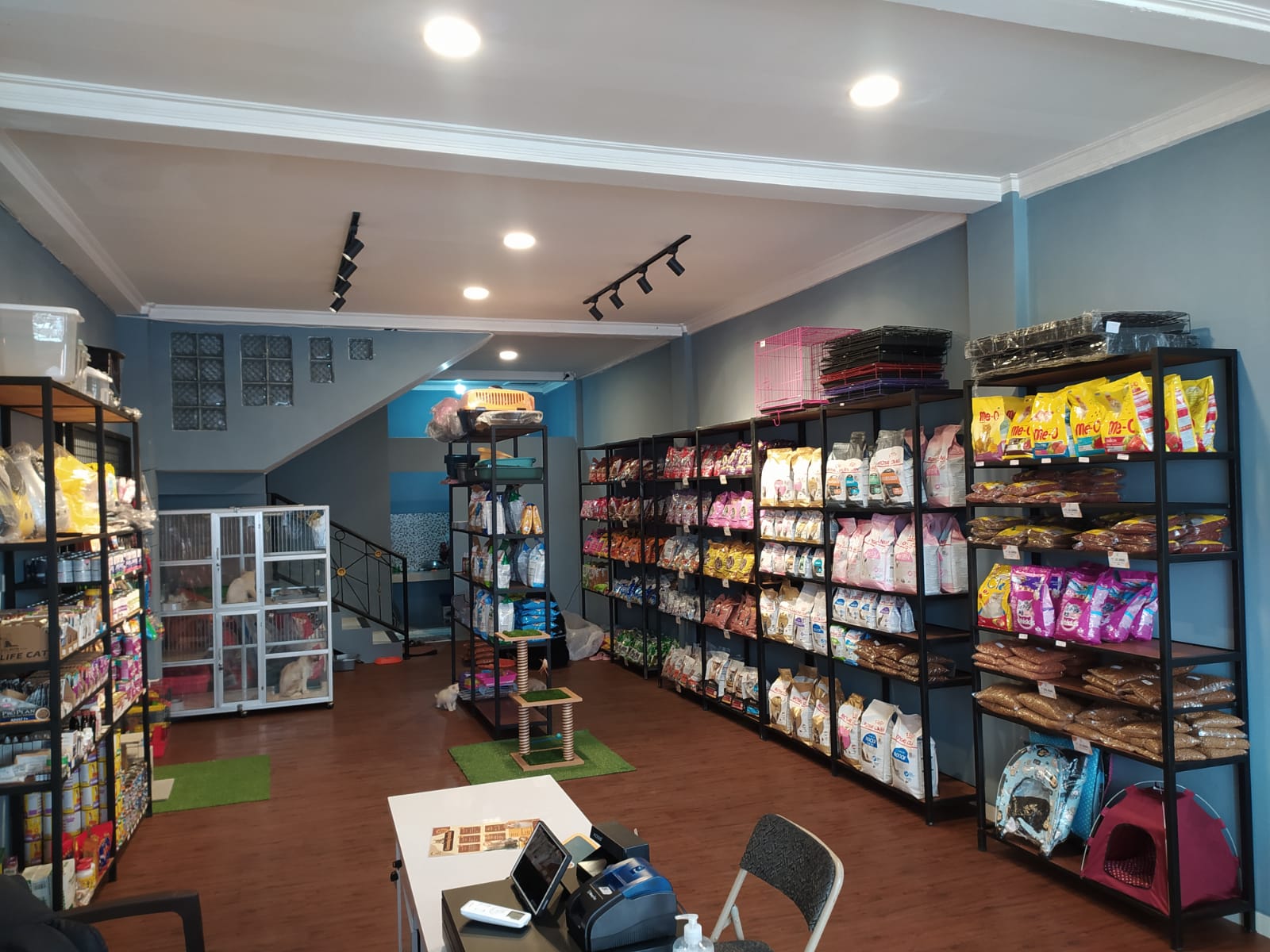 Diva Pets Station Hadirkan Salon Perawatan Kucing dan Pet Hotel