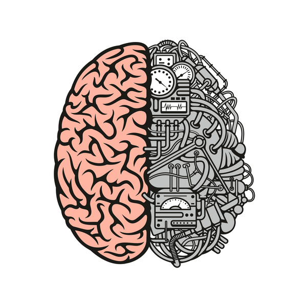 How The Brain Works About Common Sense