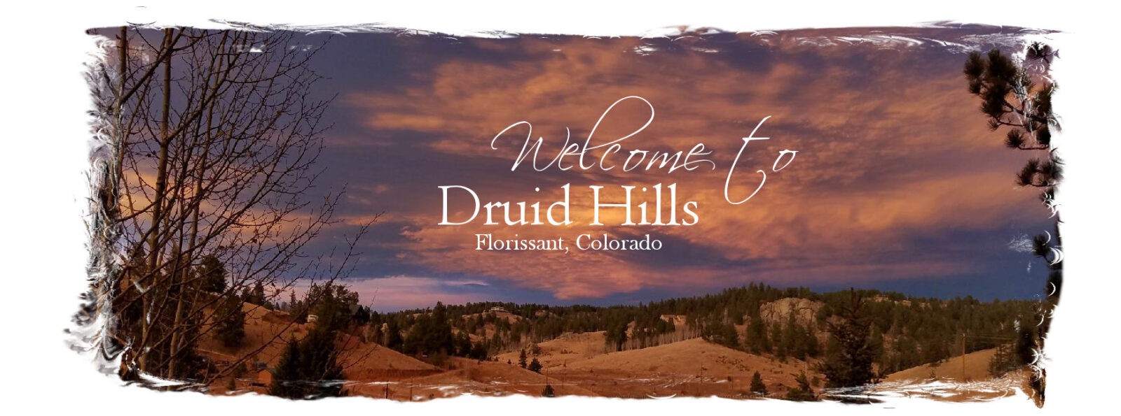 New Druid Hills Resident Info Druid Hills HOA Florissant Colorado