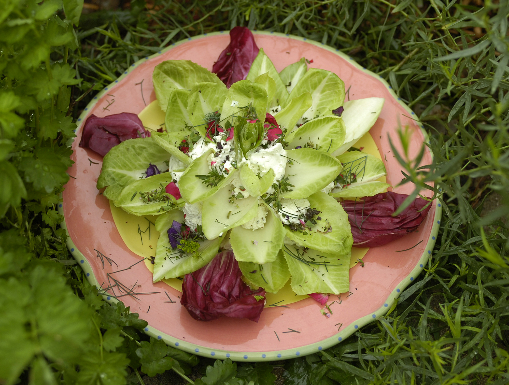 Boone County Arboretum Annual Tea Recipes About Eating
