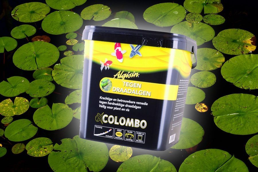 Colombo Algisin, Werkt Dat Echt Tegen Draadalgen? - Aboutkoi