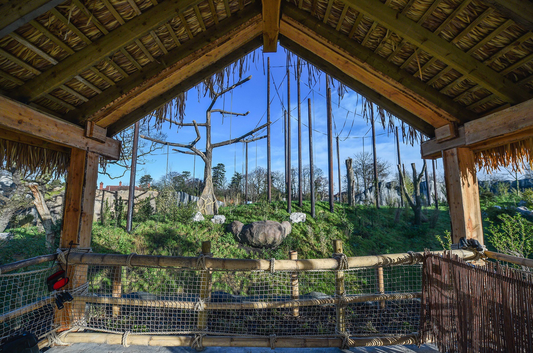Chester Zoo unveils new home for endangered primates About Manchester
