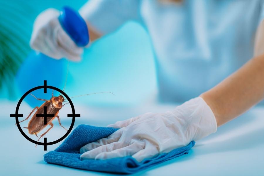 Does Disinfectant Spray Kill Roaches? [Yes, BUT...] APB