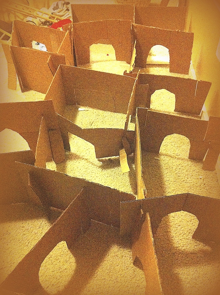 build a pet rat maze About Pet Rats