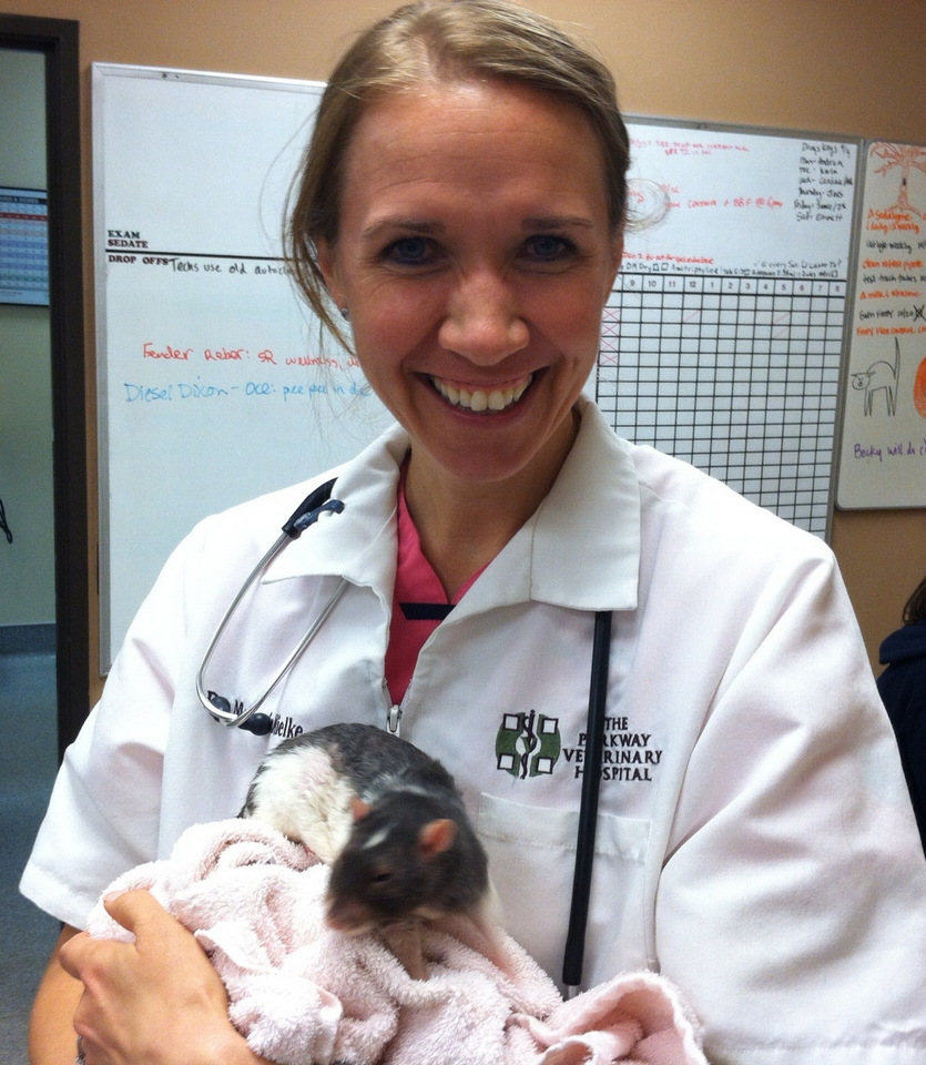 Behind Every Healthy Rat is a Great Veterinarian About Pet Rats