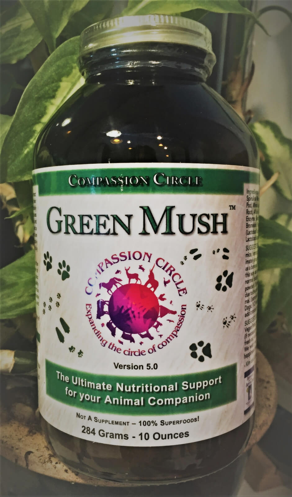 Pet Rat Supplements About Pet Rats