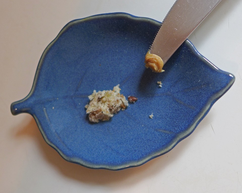 Recipes for Success Making Pet Rat Medications Appetizing About Pet Rats