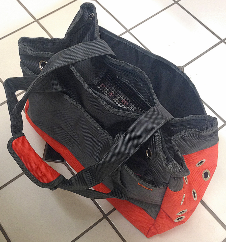 On the Road with Rats About Pet Rats