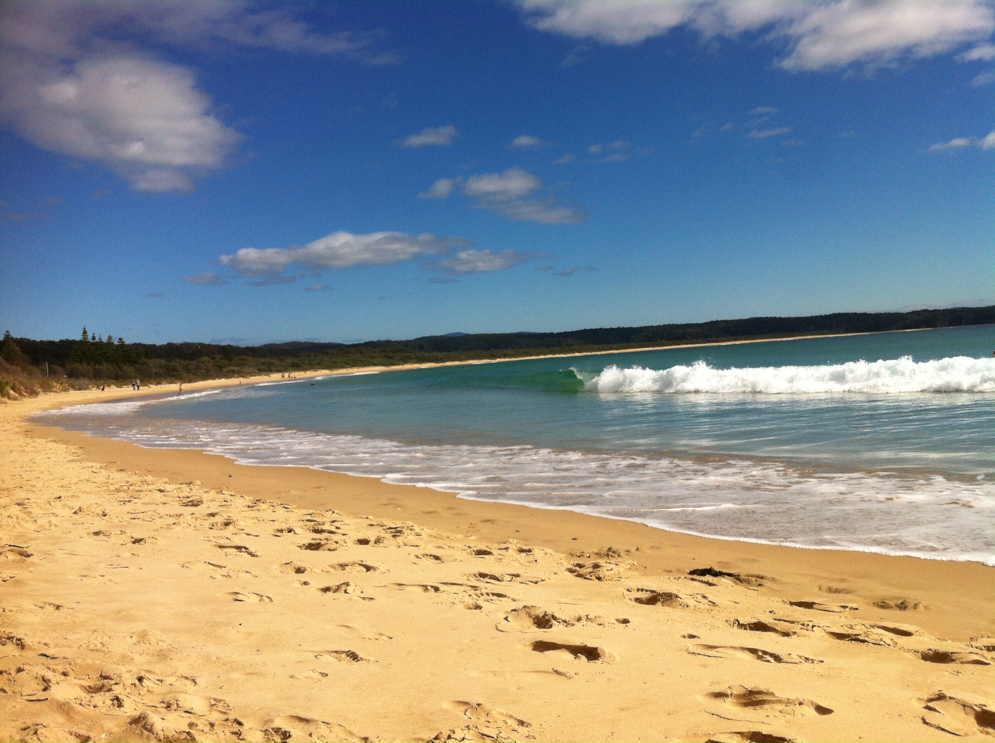 "The best summer ever" at Tathra Beach Tony McCabe, lifeguard