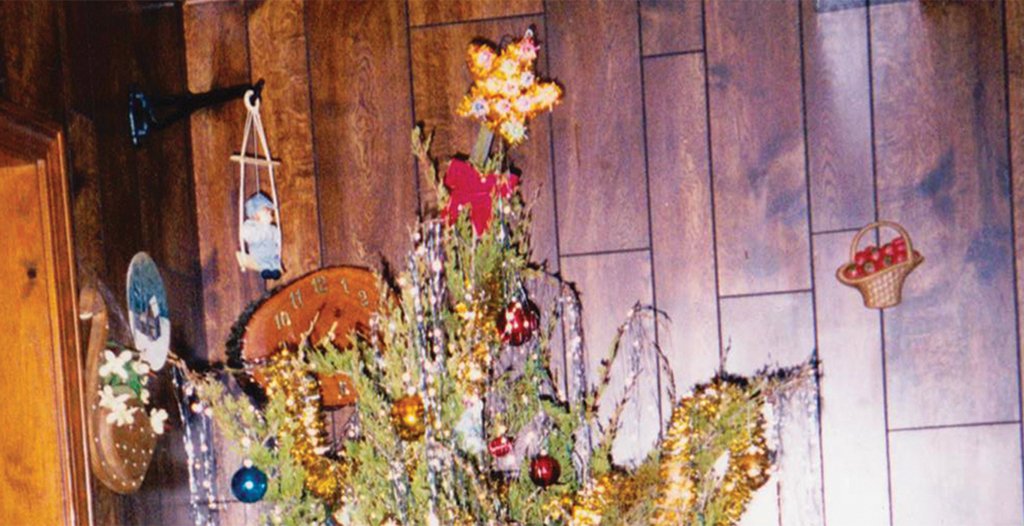 Oh Christmas tree ABOUT the River Valley